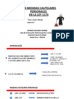 Cautelares Seminario Int