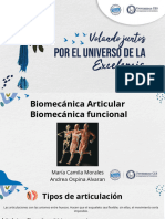 Biomecánica Articular 