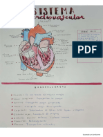 Infografía Patologías Técnicas