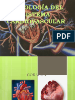 1 - Cardiovascular 2