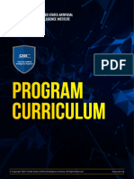 Program Curriculum CAIE