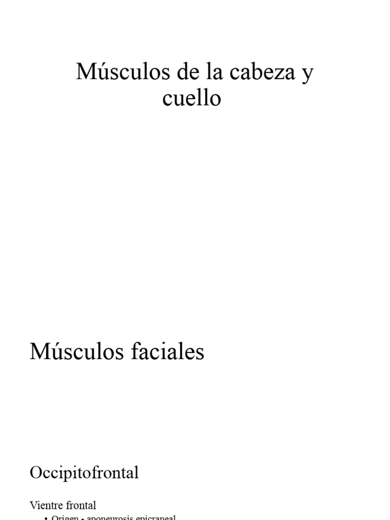 Musculos de la cara pdf anatom a anatom a humana
