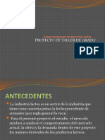 PDF Proyecto de Grado Productos Lacteos