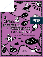 A Crise Ecológica na Modernidade Capitalista_2024