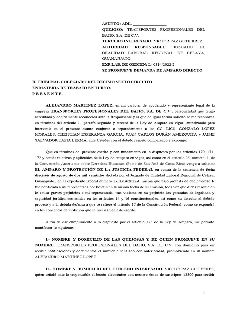 Amparo Directo Laboral | Descargar gratis PDF | Caso de ley | Jurisdicción