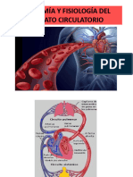 Generalidades Del Aparato Circulatorio y Respiratorio