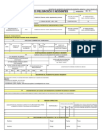 Formato de Reporte e Investigacion