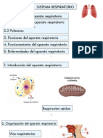 Ppt 3 Eso AP Respi 3