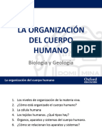 Organización Del Cuerpo Humano