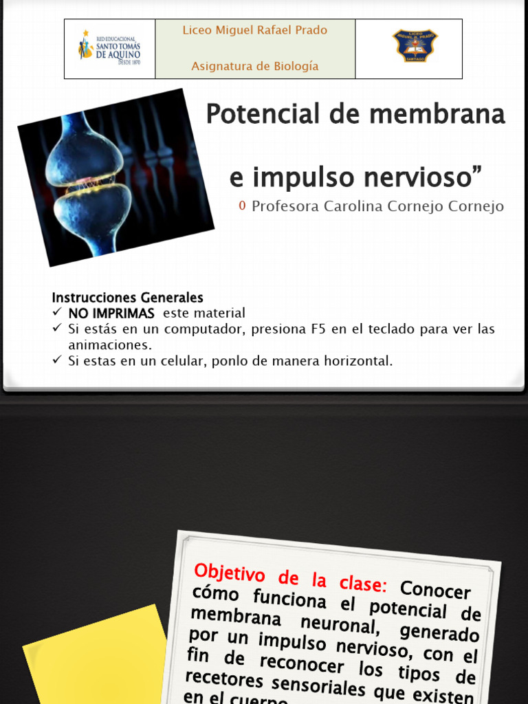 04052020_602am_5eb0043b87804 | PDF | Sinapsis | Potencial de acción