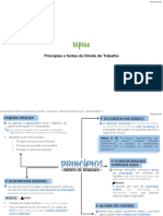 Princípios e Fontes Do Direito Do Trabalho