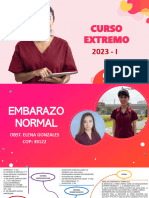 EMBARAZO NORMAL EXTREMO