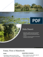 Delta Dunarii Proiect