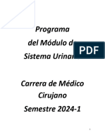 Programa de Sistema Urinario 2024-1