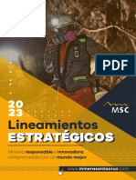 Lineamientos estratégicos-MSC (2)
