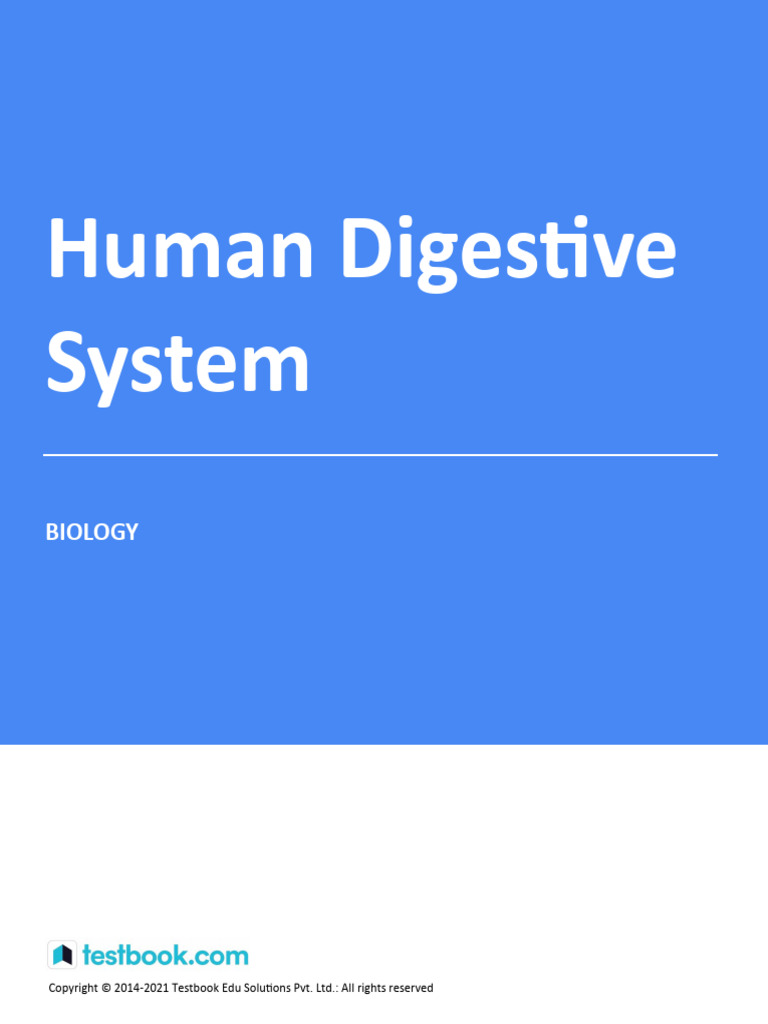 Digestive System - Study Notes | PDF | Digestion | Human Digestive System