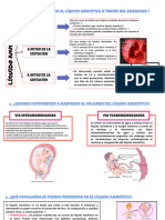 Tefa Liquido Amniotico - 20231129 - 061426 - 0000