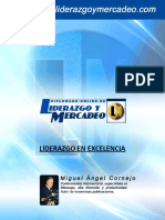 Liderazgo en Excelencia - Miguel Angel Cornejo