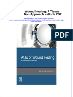 Ebook Atlas of Wound Healing A Tissue Regeneration Approach PDF Full Chapter PDF