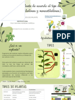 Presentación Plantas Mono y Dicotiledonas