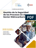 Gestión de La Seguridad de Los Procesos en El Sector Hidrocarburos