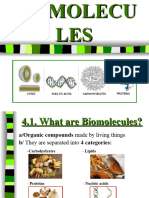 Bio Molecules