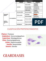 3º GiardiasisS