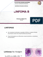 LINFOMA B