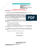 Formato Amparo Directo Sentencia Mercantil