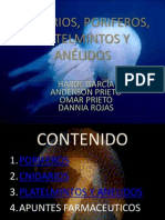 Presentacion Cnidarios, Poriferos, Platelmintos y Anélidos