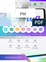 PM-canva