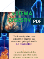 S12-Anatomia Del Sistema Digestivo