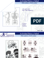 Mecanica Articular