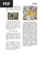 Download Texto Koala by ceciliadelacruz SN72187351 doc pdf