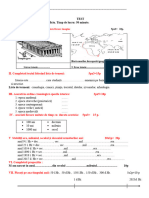 Test Clasa A 5-A Cronologie 2023