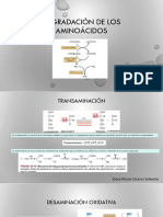 Bioquimica