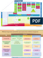 esquema_curricular_mevyt