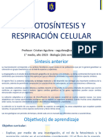 (6) Presentación - Fotosíntesis y respiración celular