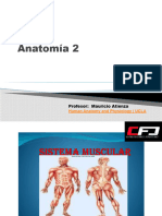 Anatomia 2 CFD$$$$$$$$