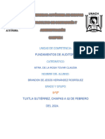 Tarea Mapa Conceptual de La Auditoria Como Actividad Profesional