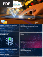 SAP Due Diligence Report 2.0