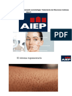 PPT. AIEP Tto - Afecciones C. N°4