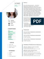 Curriculum Vitae Template Word - Rev