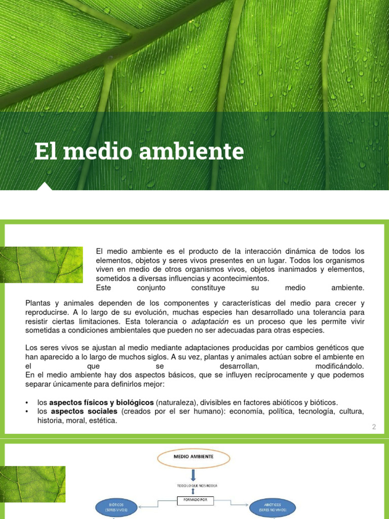 PDF Medio Ambiente | Descargar gratis PDF | Entorno natural | Clima