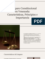 Amparo-Constitucional-En-Venezuela Herrera