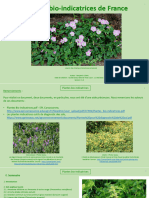 Plantes Bio-Indicatrices (3)