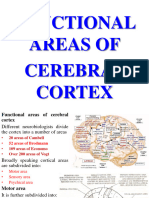 8 Cortical areas and lesions 2022