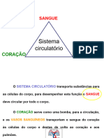 1ª Aula -Sangue