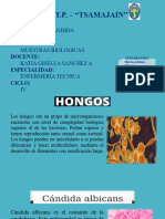 Hongos - Candida Albicans