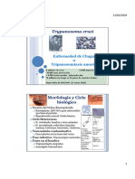 Trypanosoma cruzi